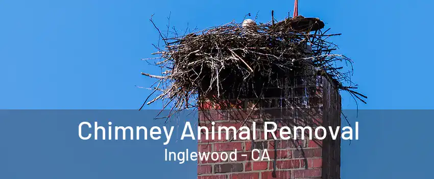 Chimney Animal Removal Inglewood - CA